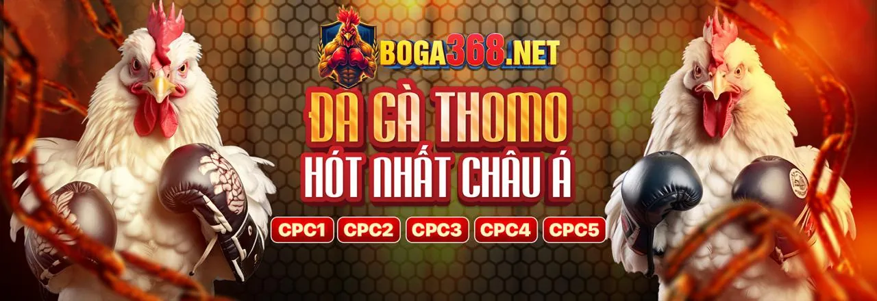 Đá gà trực tuyến VA88 chính thức với hình ảnh gà chọi oai phong và sân đấu rực lửa