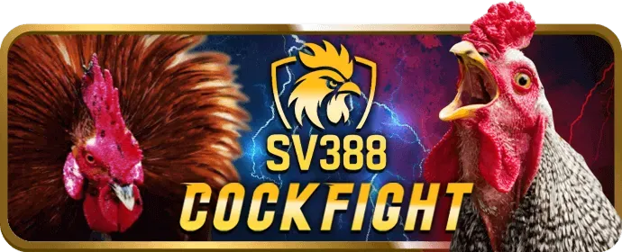 Hỗ trợ trò chuyện trực tuyến VA88