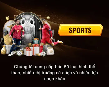 Hỗ trợ từ các tổ chức chuyên nghiệp